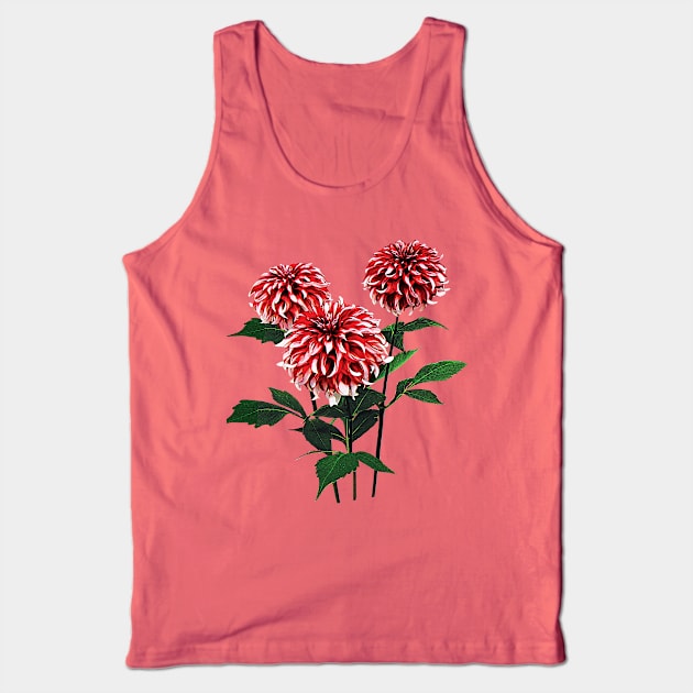 Dahlia Santa Claus Tank Top by SusanSavad